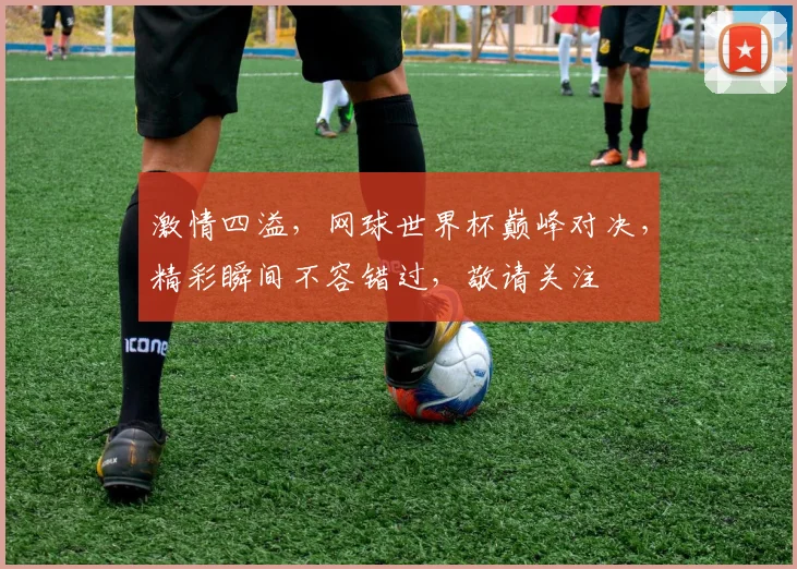 激情四溢，网球世界杯巅峰对决，精彩瞬间不容错过，敬请关注