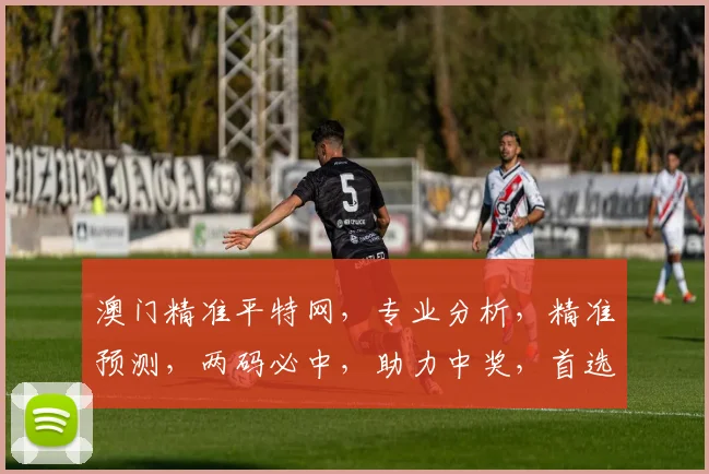 澳门精准平特网，专业分析，精准预测，两码必中，助力中奖，首选平台