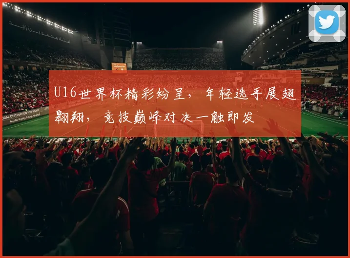 U16世界杯精彩纷呈，年轻选手展翅翱翔，竞技巅峰对决一触即发