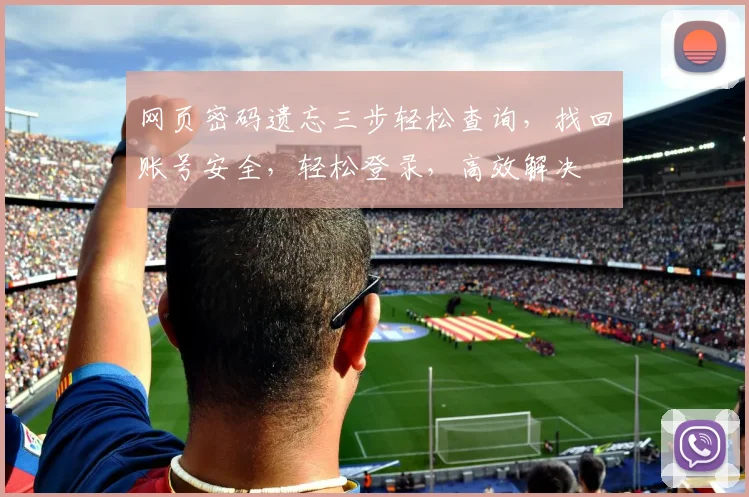 网页密码遗忘三步轻松查询，找回账号安全，轻松登录，高效解决